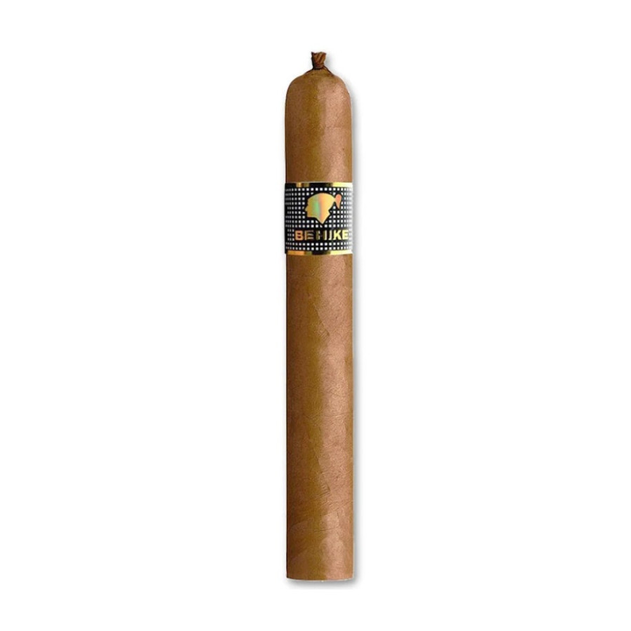 Charuto Cohiba Siglo VI paulinia