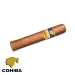 Charuto Cohiba robustos Paulinia