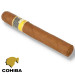Charuto Cohiba Siglo VI Paulinia