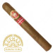 Charuto H. Upmann Magnum 50 Paulinia