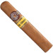 Charuto Montecristo wide edmundo Paulinia