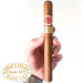 Charuto Romeo y Julieta Churchills Paulinia